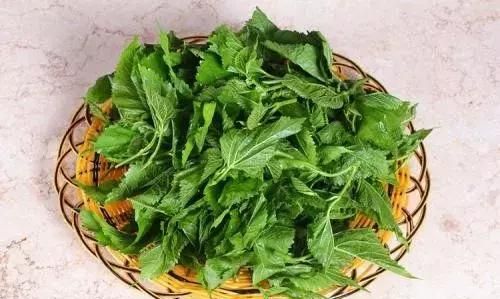 妇科名家都爱用的一味“崩漏圣药”