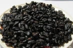 淡豆豉是什么,淡豆豉是什么药有何功效图8