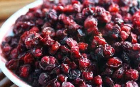 中药五味子的用量(五味子古今研究)