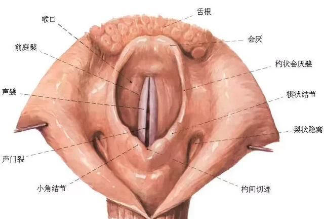 小儿氨酚黄那敏颗粒安全吗(小儿氨酚黄那敏颗粒副作用)图1