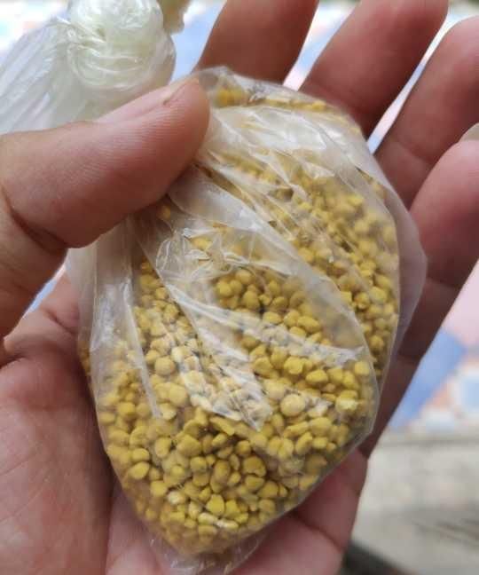 油菜蜂花粉有什么功效,油菜蜂花粉对男性功效与作用图5