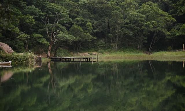 台湾美吗,台湾的美国人多吗图4