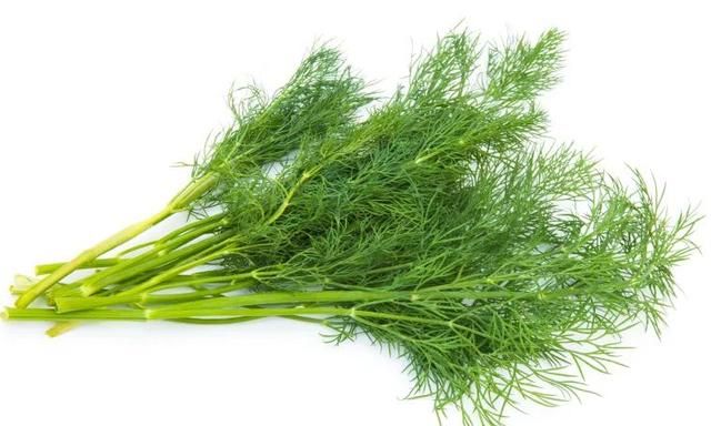 它是天然的“养胃菜”！随手一拌搞定，吃得渣都不剩