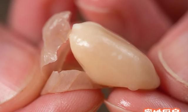 它是天然的“养胃菜”！随手一拌搞定，吃得渣都不剩