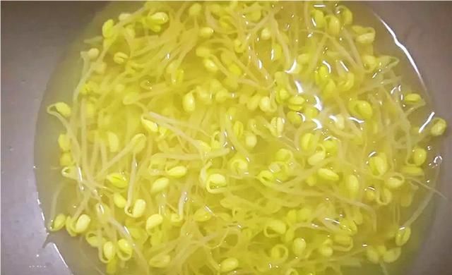 怎样炒黄豆芽最好吃(怎样炒黄豆芽比较好吃)图13