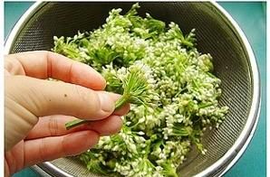 腌制的韭菜花能炒着吃吗,腌制韭菜花能炒鸡蛋吗图1