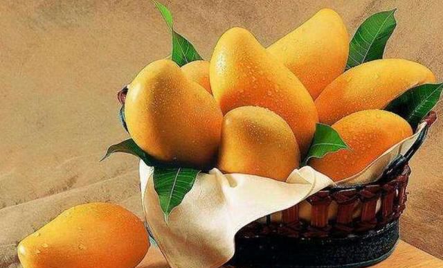 芒果抗晕止吐 ，祛痰止咳！阳后吃它，让你少遭罪！