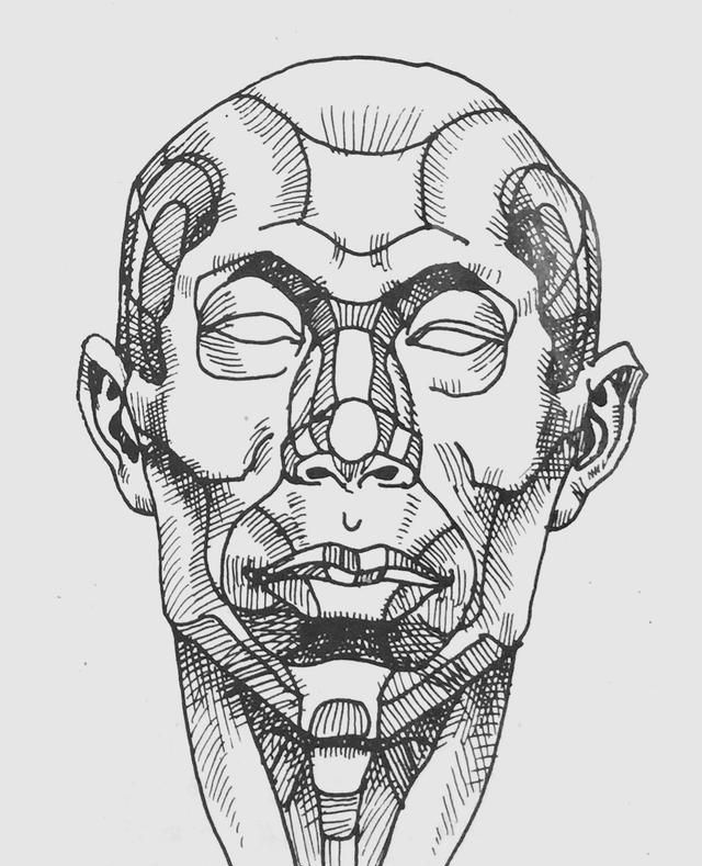 快速理解头部结构就看这张图 解决素描头像不懂结构不会深入难题