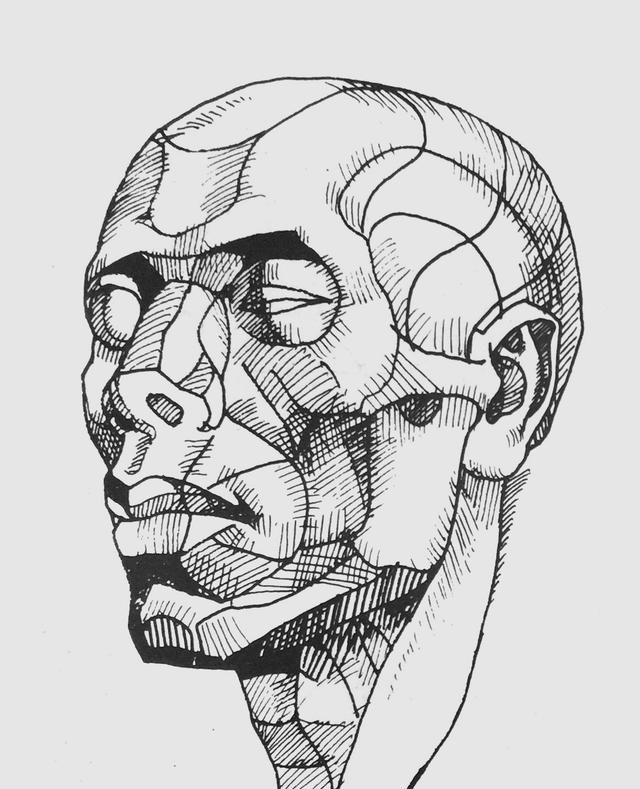 快速理解头部结构就看这张图 解决素描头像不懂结构不会深入难题