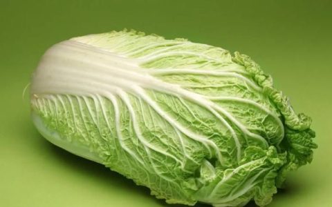 白菜别老素炒的4种家常做法(白菜粉条的家常做法素炒白菜粉条)