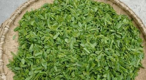 茶知识百科：六安瓜片的前世今生
