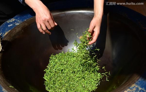 茶知识百科：六安瓜片的前世今生