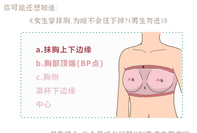 女生的胸，为什么忽软忽硬？（男生禁入）