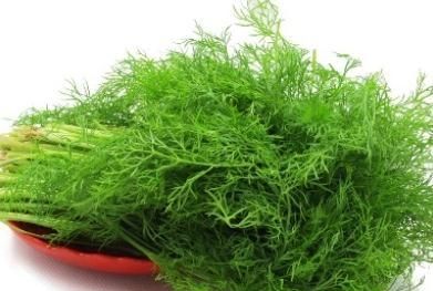 你爱吃茴香吗?茴香都有哪些功效和作用呢图2