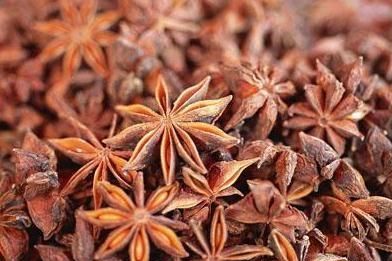 你爱吃茴香吗?茴香都有哪些功效和作用呢图4
