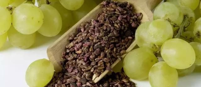 葡萄籽的功效是什么？ 可以抗衰老吗？