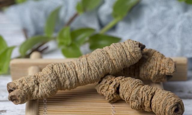 补肾阳、填精补血、强筋骨，鹿茸怎么吃效果好？说说鹿茸7大应用