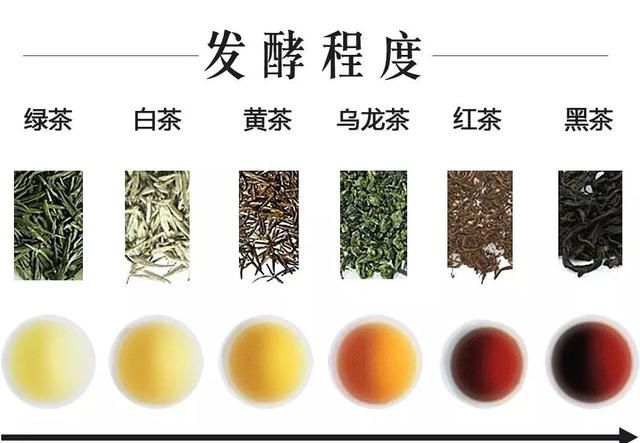 茶叶一般是指绿茶吗图3