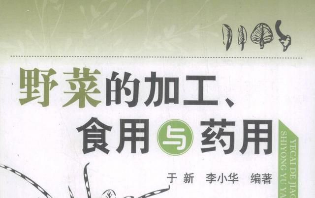 有哪些含钾高的食物(有哪些是含钾高的食物)图4