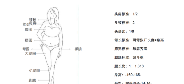 认识你的身材