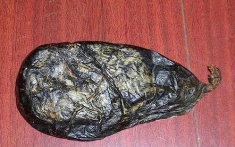 熊胆有抗癌的作用吗(复方熊胆滴眼液作用)