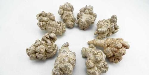 田七的药效功能有哪些图2