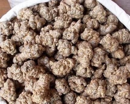 田七的药效功能有哪些图5