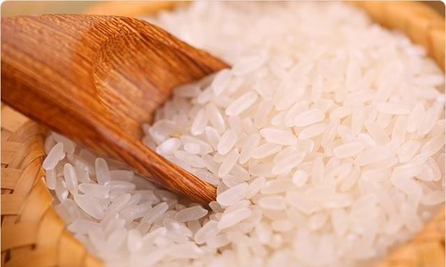 什么叫做粳米(药用粳米和食用粳米的区别)图2