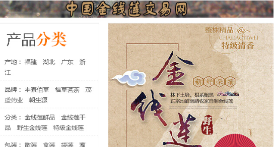 金线莲哪种具有保健养生,金线莲熬水什么时候喝最好图2