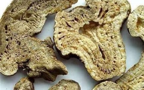白术泡水喝有什么功效