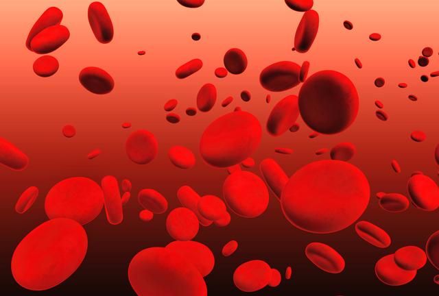 高中生物：关于红细胞知识点的总结归纳