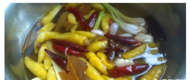 泡椒鸡爪怎么做才好吃呢(泡椒鸡爪怎么做才好吃)图15