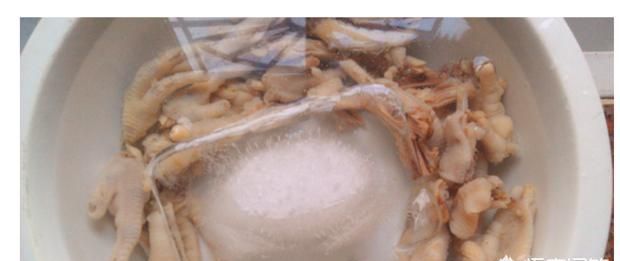 泡椒鸡爪怎么做才好吃呢(泡椒鸡爪怎么做才好吃)图16