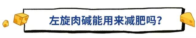 奶粉里有减肥辅助神器——左旋肉碱，它对减肥到底有没有用？