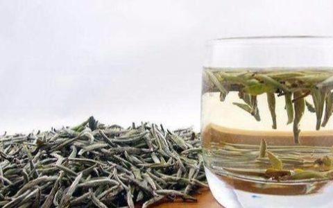 喝白茶用什么茶具最好最健康呢(白茶的正确冲泡手法)