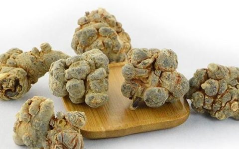 三七粉每天什么时候吃是最佳效果