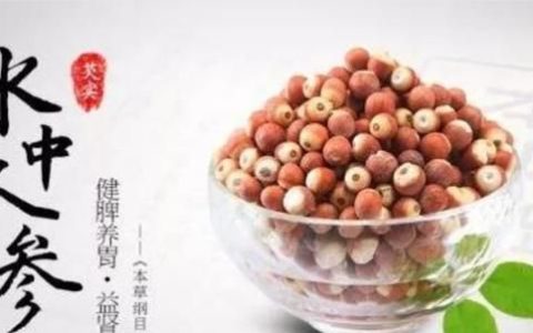 芡实有什么药效,哪里的芡实药效好