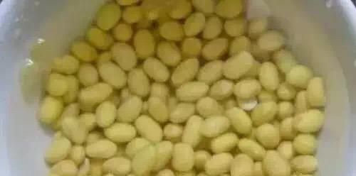 巧用黄豆治咳嗽，连医生都要这样去做