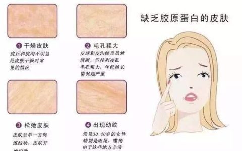 胶原蛋白什么时候开始吃比较好,骨胶原蛋白肽什么时候吃最好
