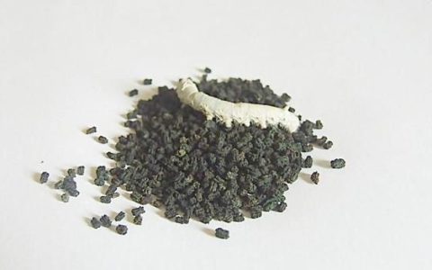 蚕屎有什么功效,蚕屎枕头功效