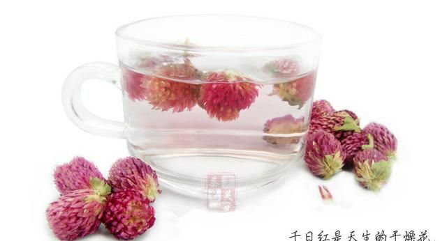 永恒之花—千日红，女性调养千日红茶绝对是口味绝佳花茶