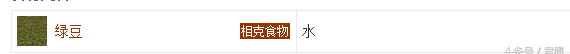 老北京小吃豆汁儿的做法大全 这是北京符号