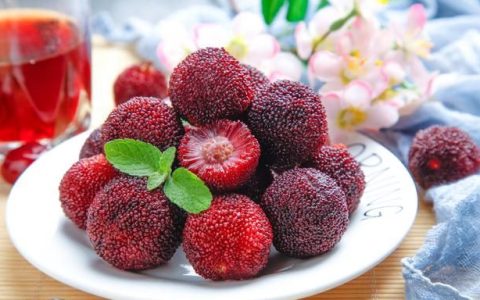 杨梅煮水的功效和作用,杨梅怎么吃法正确