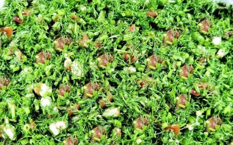 调茴香馅放什么料好吃