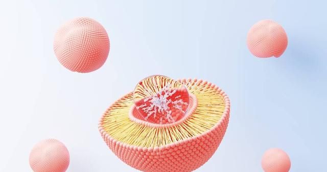 卵磷脂可预防痴呆，增强体能，建议中老年人：常吃3种高磷脂食材