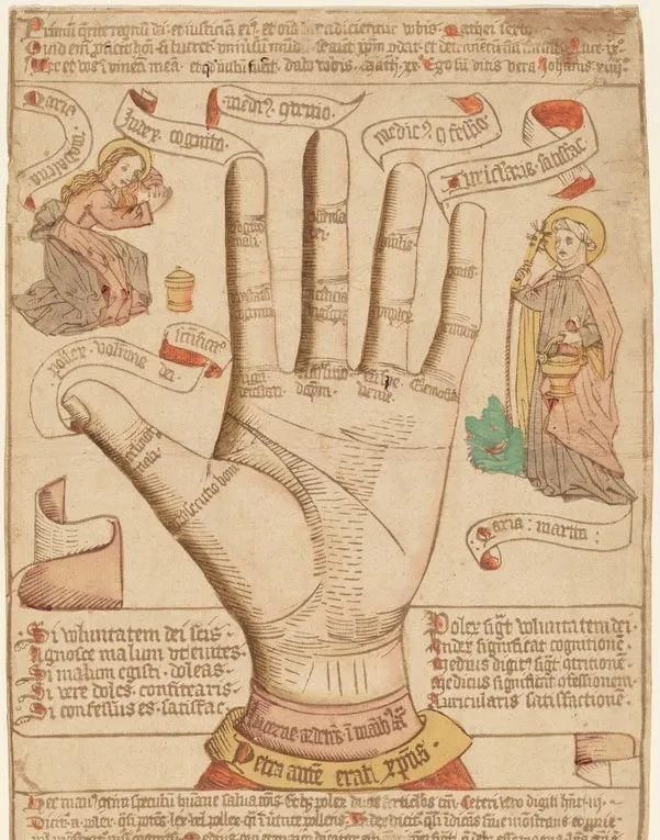 如何知道自己的手是什么手(怎么看是什么型的手)图8
