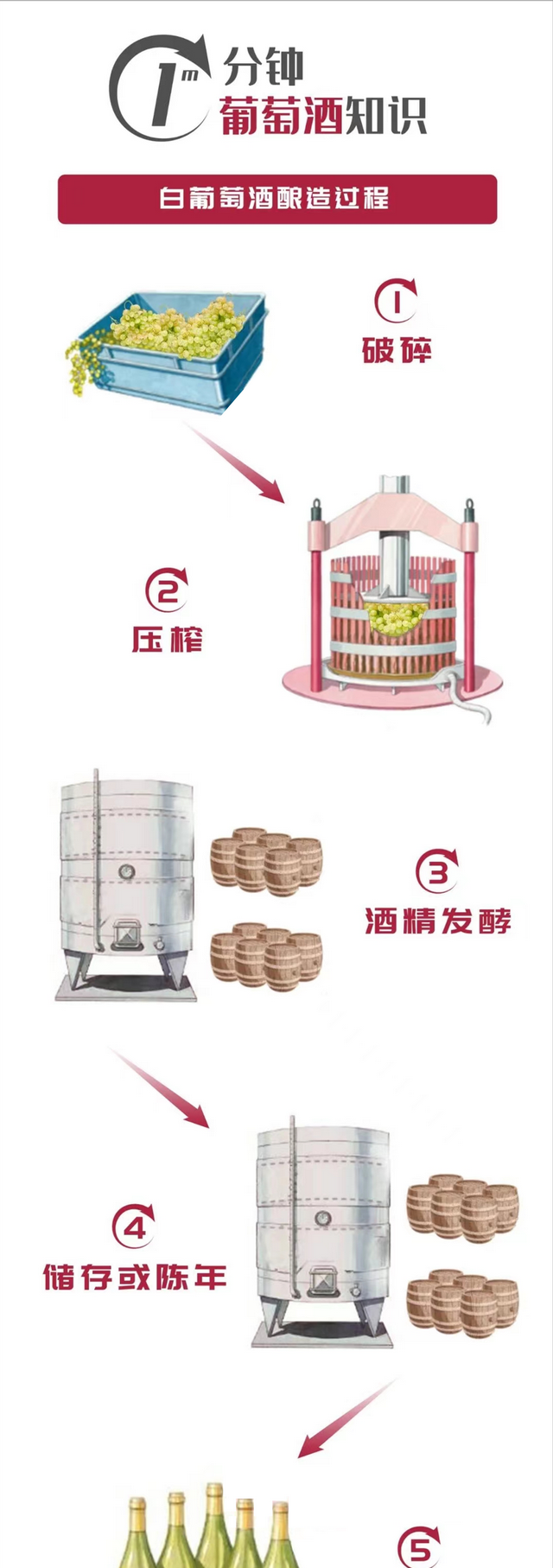 一图看懂白葡萄酒酿造过程，了解技术内涵后杯中酒更香了