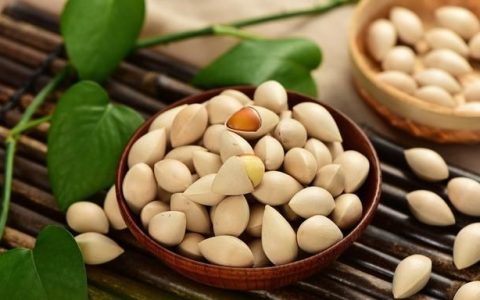 白果能滋阴补肺吗(白果怎么吃对咳嗽有效)