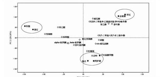 祁门香是什么香气(祁门香是哪里的)图6