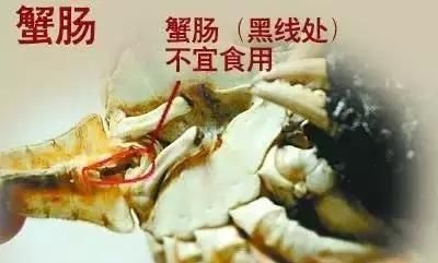 螃蟹的哪些部位不能吃,螃蟹哪个部位不能吃图3